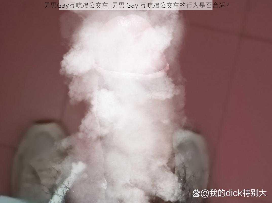 男男Gay互吃鳮公交车_男男 Gay 互吃鳮公交车的行为是否合适？