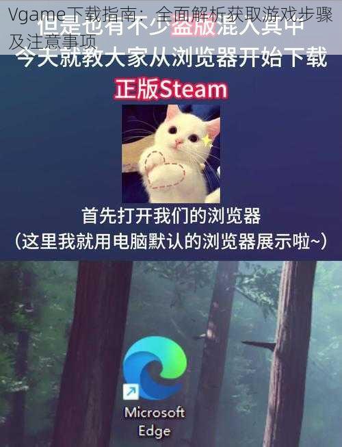 Vgame下载指南：全面解析获取游戏步骤及注意事项