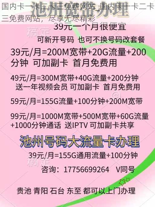 国内卡一卡二卡三免费网站_国内卡一卡二卡三免费网站，尽享无尽精彩