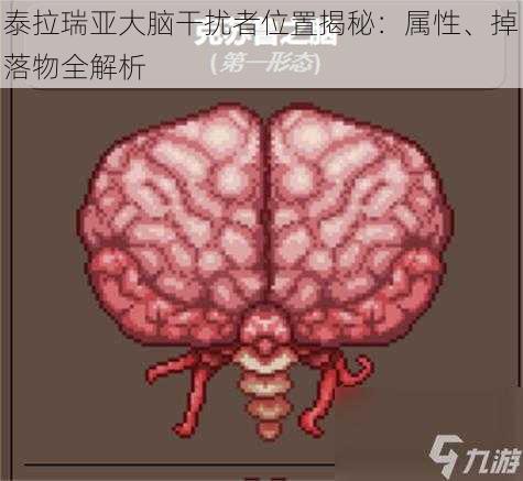 泰拉瑞亚大脑干扰者位置揭秘：属性、掉落物全解析