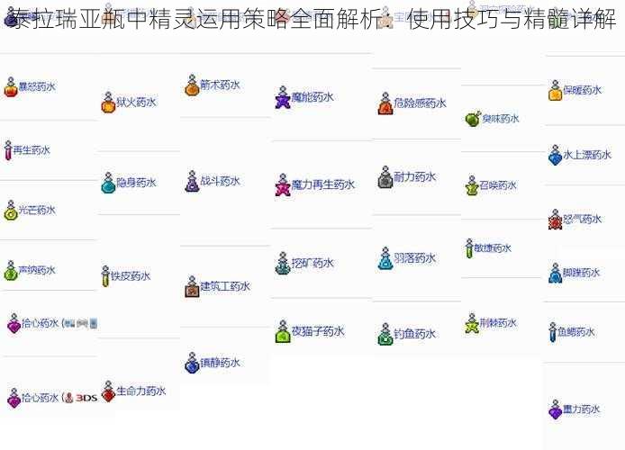 泰拉瑞亚瓶中精灵运用策略全面解析：使用技巧与精髓详解