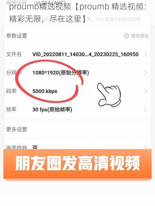 proumb精选视频【proumb 精选视频：精彩无限，尽在这里】