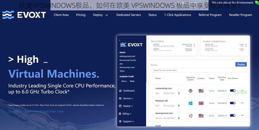 欧美VPSWINDOWS极品、如何在欧美 VPSWINDOWS 极品中享受极致体验？