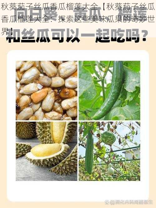 秋葵茄子丝瓜香瓜榴莲大全【秋葵茄子丝瓜香瓜榴莲大全：探索这些美味瓜果的奇妙世界】