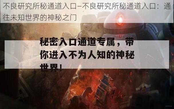 不良研究所秘通道入口—不良研究所秘通道入口：通往未知世界的神秘之门