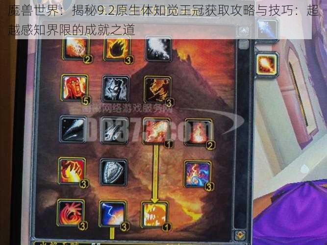 魔兽世界：揭秘9.2原生体知觉王冠获取攻略与技巧：超越感知界限的成就之道