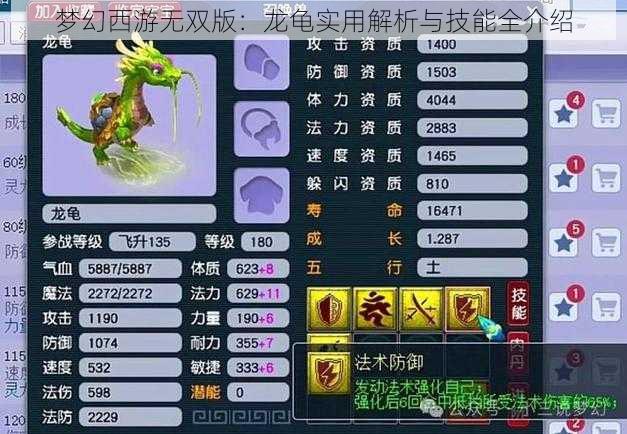 梦幻西游无双版：龙龟实用解析与技能全介绍