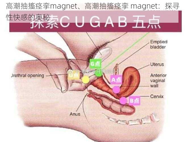 高潮抽搐痉挛magnet、高潮抽搐痉挛 magnet：探寻性快感的奥秘