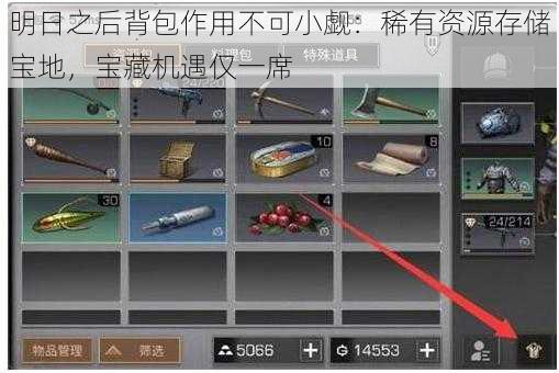 明日之后背包作用不可小觑：稀有资源存储宝地，宝藏机遇仅一席