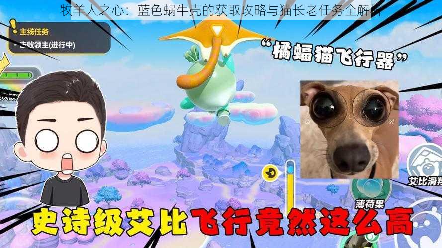 牧羊人之心：蓝色蜗牛壳的获取攻略与猫长老任务全解析