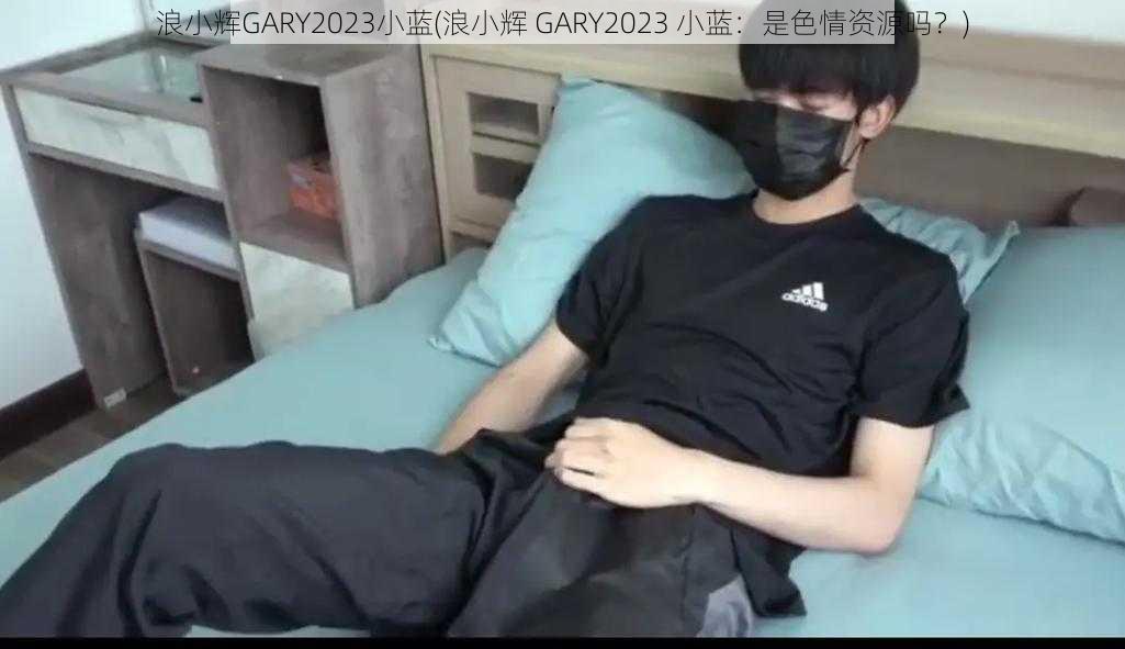 浪小辉GARY2023小蓝(浪小辉 GARY2023 小蓝：是色情资源吗？)