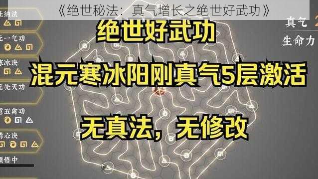 《绝世秘法：真气增长之绝世好武功》