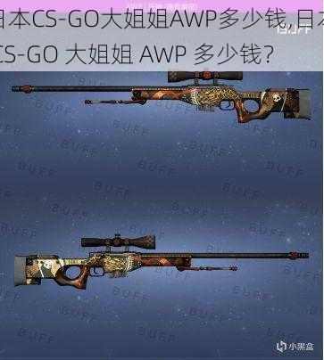 日本CS-GO大姐姐AWP多少钱,日本 CS-GO 大姐姐 AWP 多少钱？