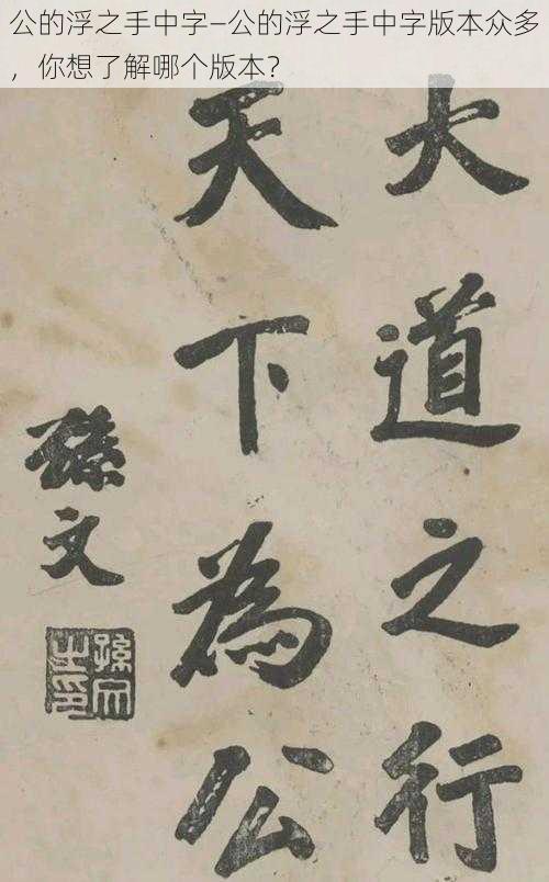 公的浮之手中字—公的浮之手中字版本众多，你想了解哪个版本？