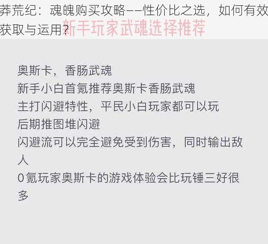 莽荒纪：魂魄购买攻略——性价比之选，如何有效获取与运用？