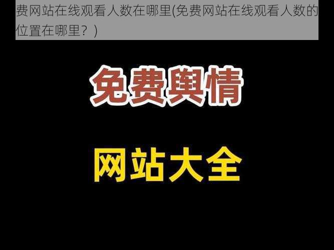 免费网站在线观看人数在哪里(免费网站在线观看人数的查询位置在哪里？)