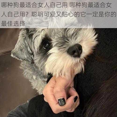 哪种狗最适合女人自己用 哪种狗最适合女人自己用？聪明可爱又贴心的它一定是你的最佳选择