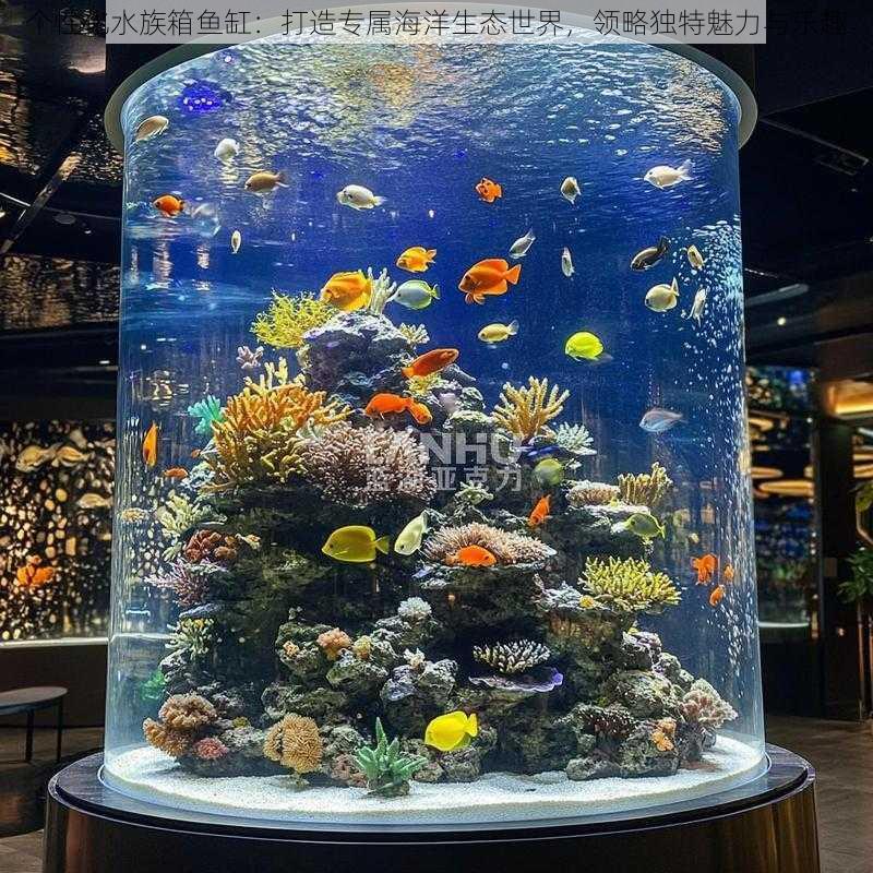 个性化水族箱鱼缸：打造专属海洋生态世界，领略独特魅力与乐趣