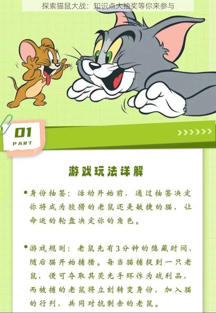 探索猫鼠大战：知识点大抽奖等你来参与