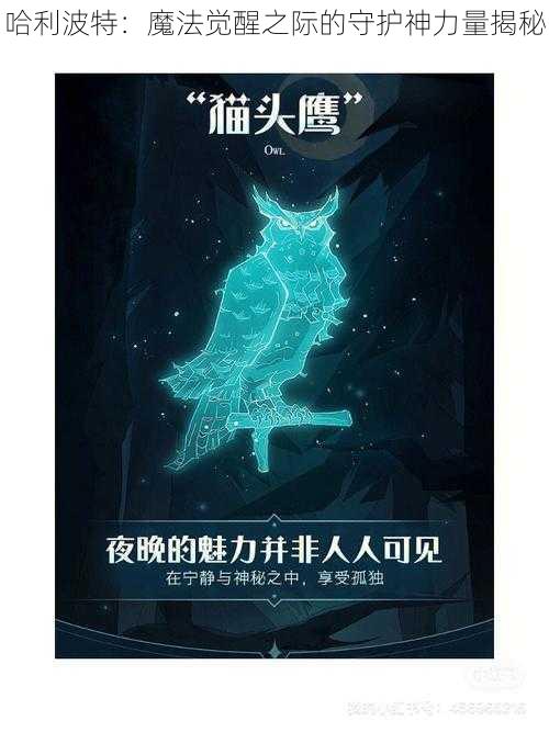 哈利波特：魔法觉醒之际的守护神力量揭秘