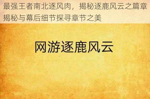 最强王者南北逐风肉，揭秘逐鹿风云之篇章揭秘与幕后细节探寻章节之美