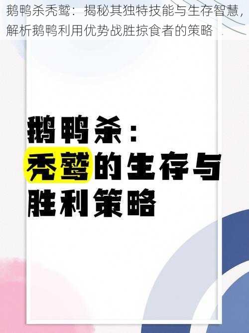 鹅鸭杀秃鹫：揭秘其独特技能与生存智慧，解析鹅鸭利用优势战胜掠食者的策略