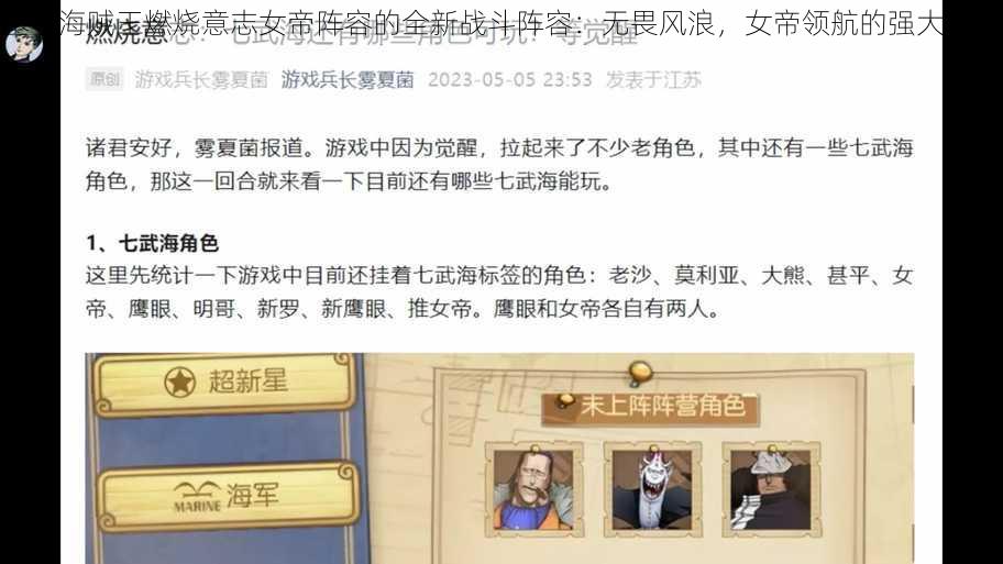 基于海贼王燃烧意志女帝阵容的全新战斗阵容：无畏风浪，女帝领航的强大团队