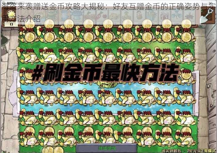 海盗来袭赠送金币攻略大揭秘：好友互赠金币的正确姿势与实用方法介绍