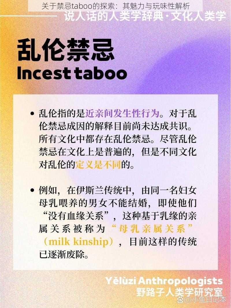 关于禁忌taboo的探索：其魅力与玩味性解析