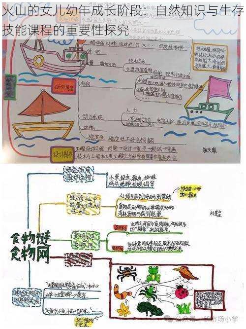 火山的女儿幼年成长阶段：自然知识与生存技能课程的重要性探究