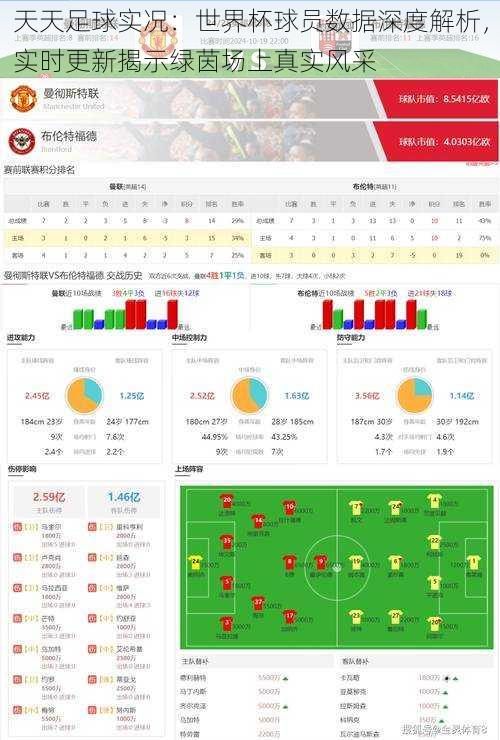 天天足球实况：世界杯球员数据深度解析，实时更新揭示绿茵场上真实风采
