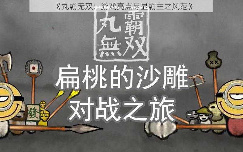 《丸霸无双：游戏亮点尽显霸主之风范》